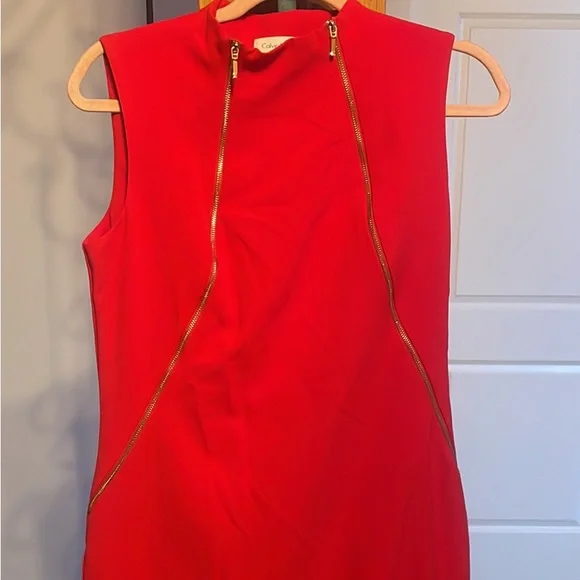open lace back dress Calvin Klein 205W39NYC by Raf Simons Red Asymmetrical Dress with Fring   PaumLosAngeles